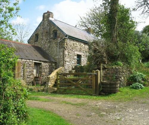 Penfeidr Newydd, Newport