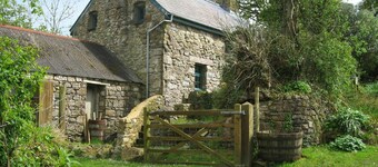 Penfeidr Newydd, Newport