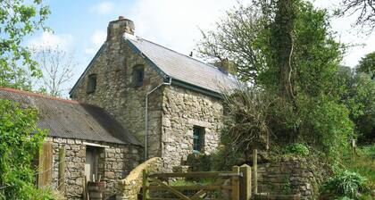 Penfeidr Newydd, Newport