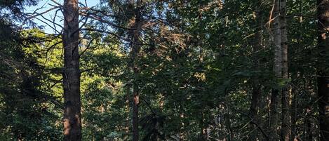 Luxury Cabin with Hot Tub | Terrace/patio