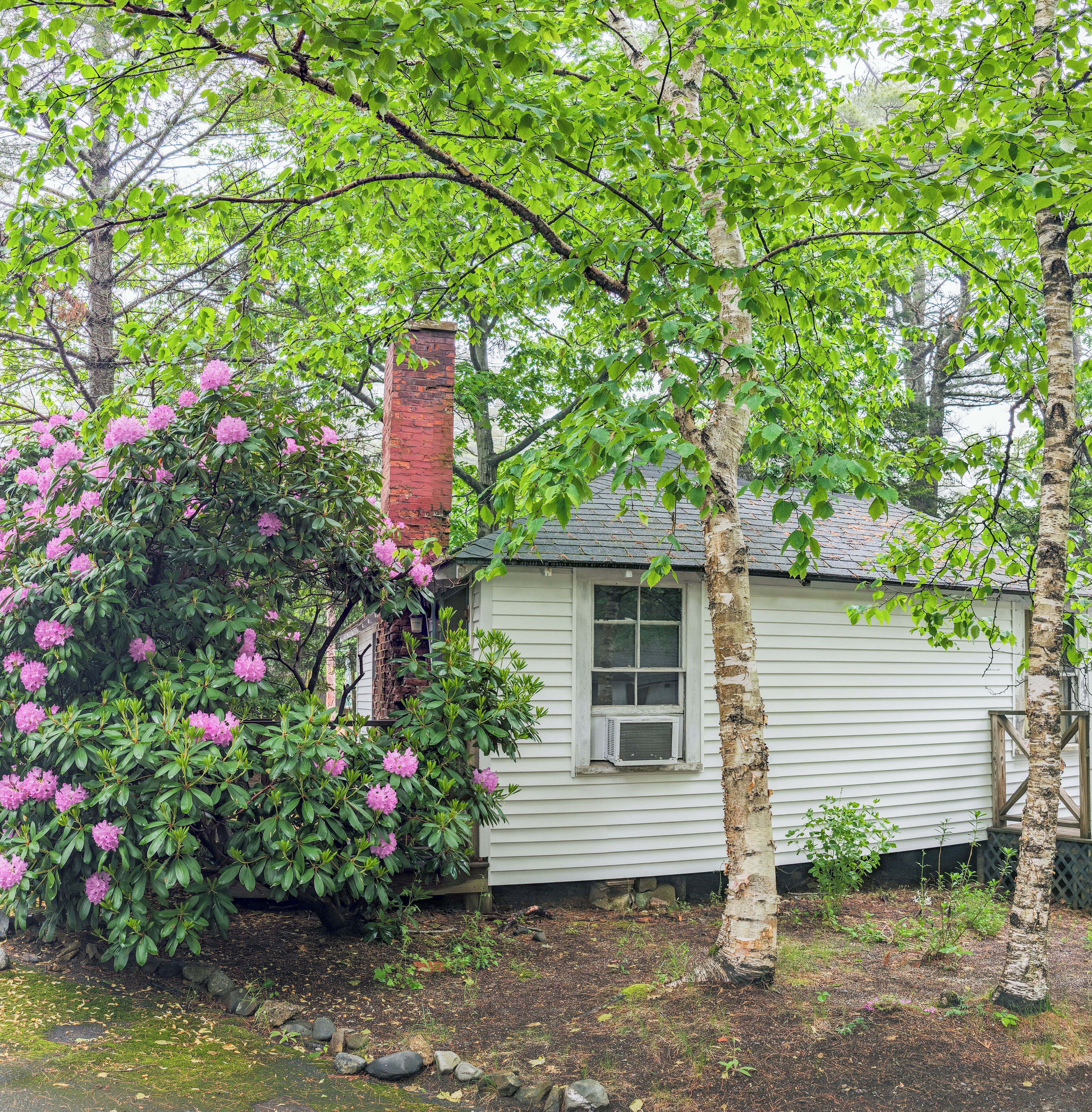 A small house with a brick chimney, surrounded by lush greenery and flowering bushes.