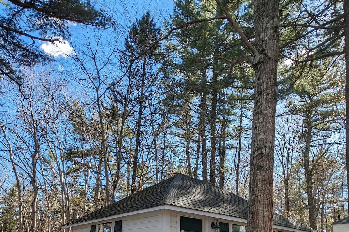 One Bedroom Cabin with Living Room, Kitchenette & Deck (Pet Friendly) | Terrace/patio