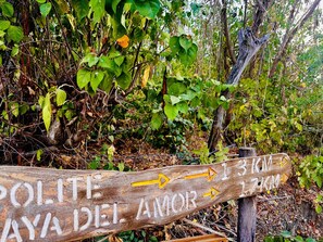 Un panneau indicateur en bois, orné de flèches indiquant les directions et de repères de distance, entouré d’un feuillage dense.