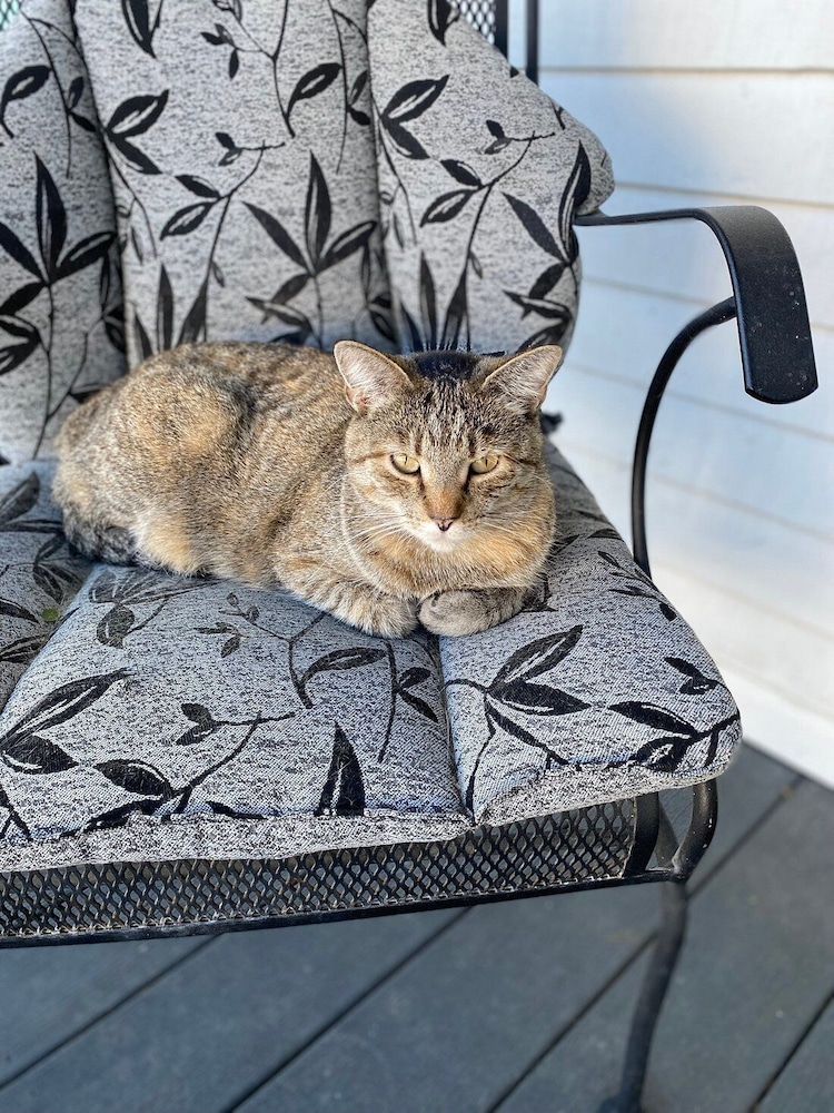 Garden House Bed & Breakfast by null