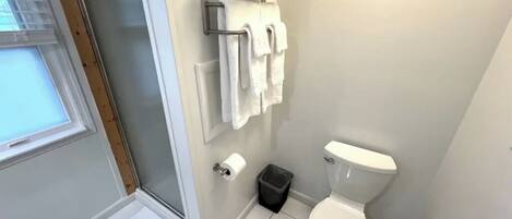 Baño con inodoro, toallero, ducha y ventana.