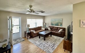 Smart TV - The Teal Turtle (Seminole)