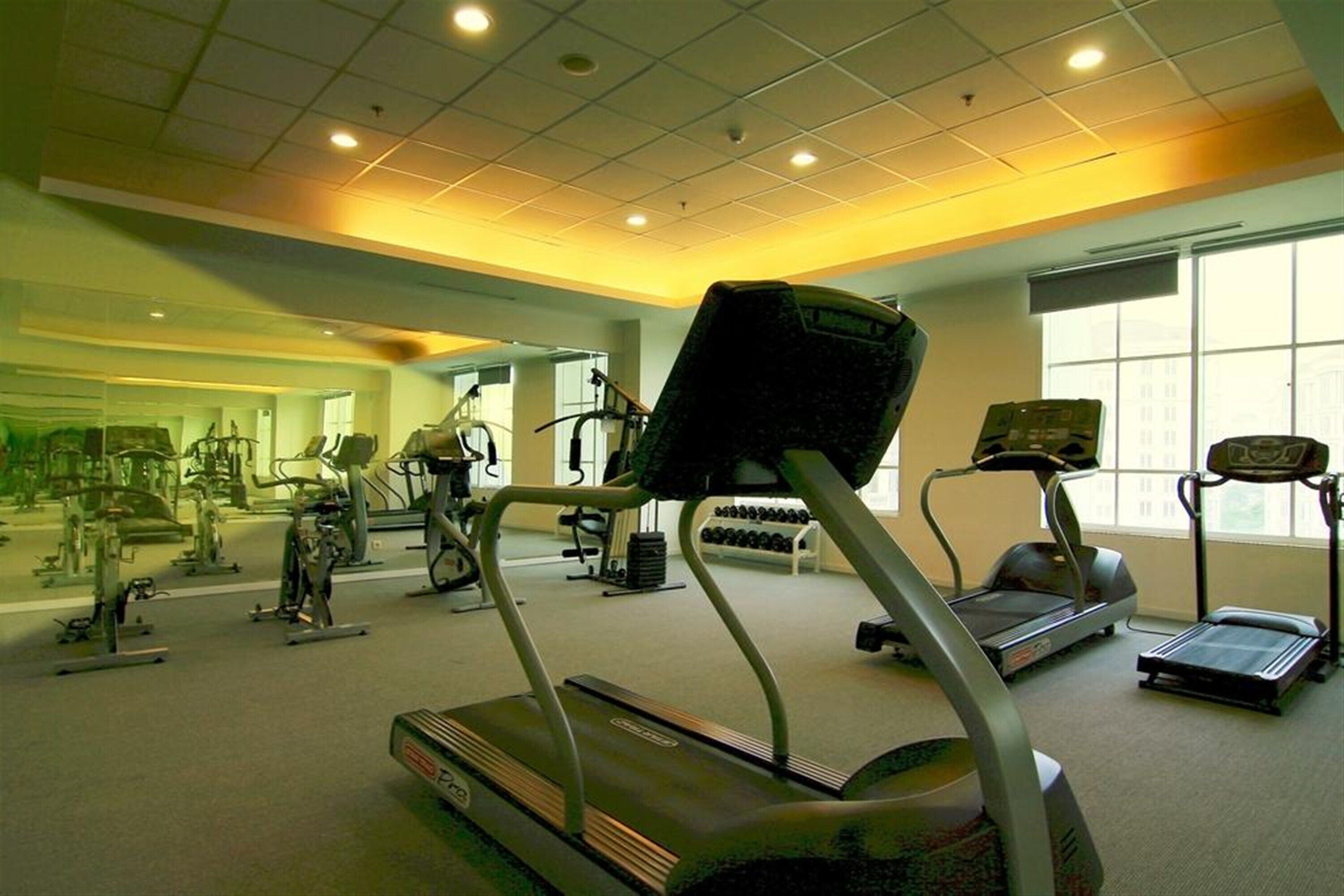 Une salle de sport équipée de tapis de course, de vélos elliptiques et de poids libres.