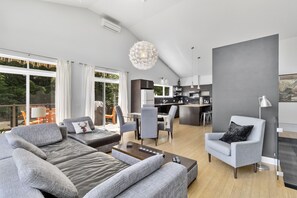 TV, fireplace, DVD player