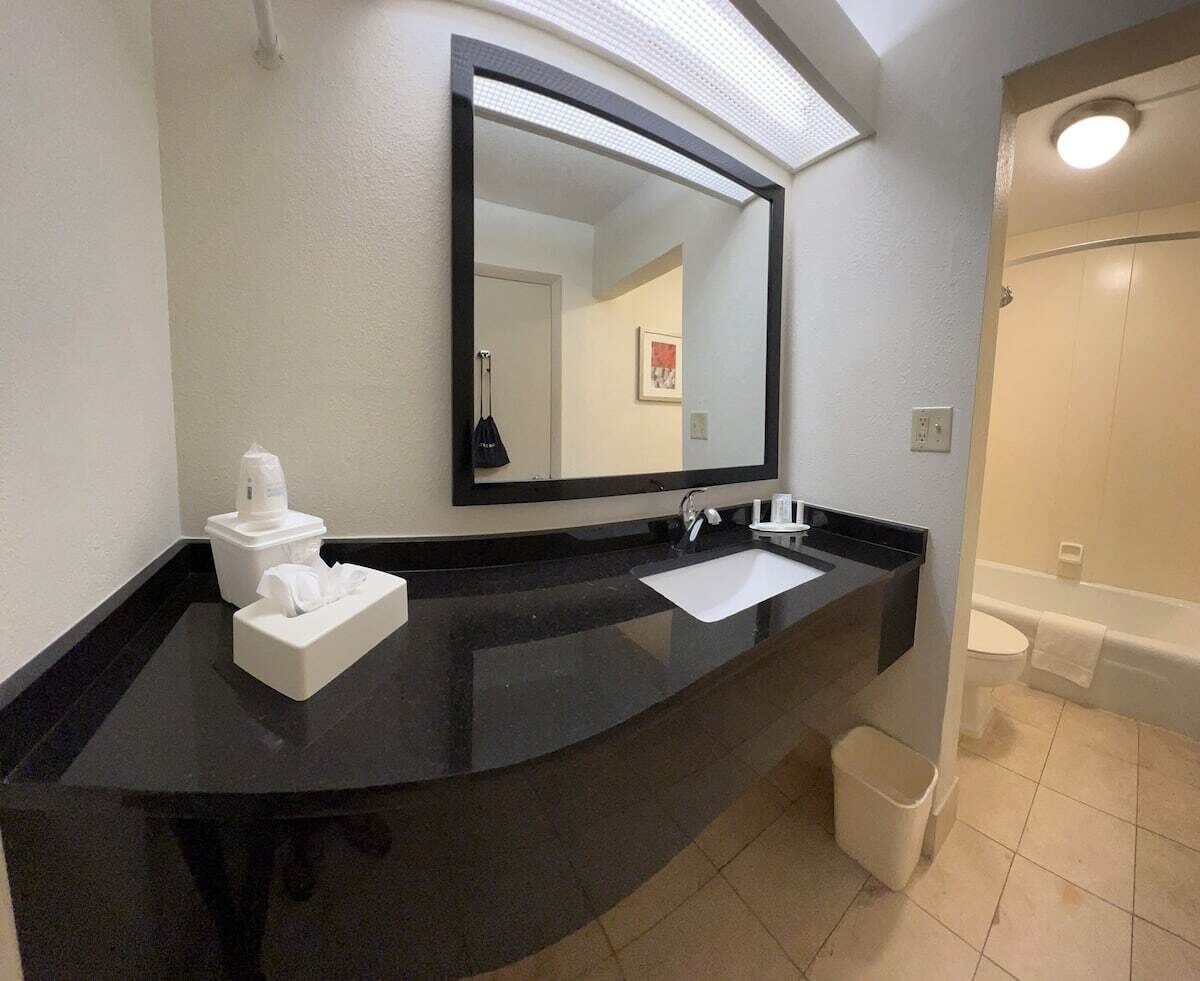 Une salle de bain moderne avec un plan de toilette noir, un lavabo blanc, un grand miroir et des toilettes.