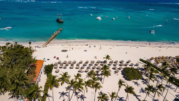A beach with a pier, palm trees, and boats in the water.