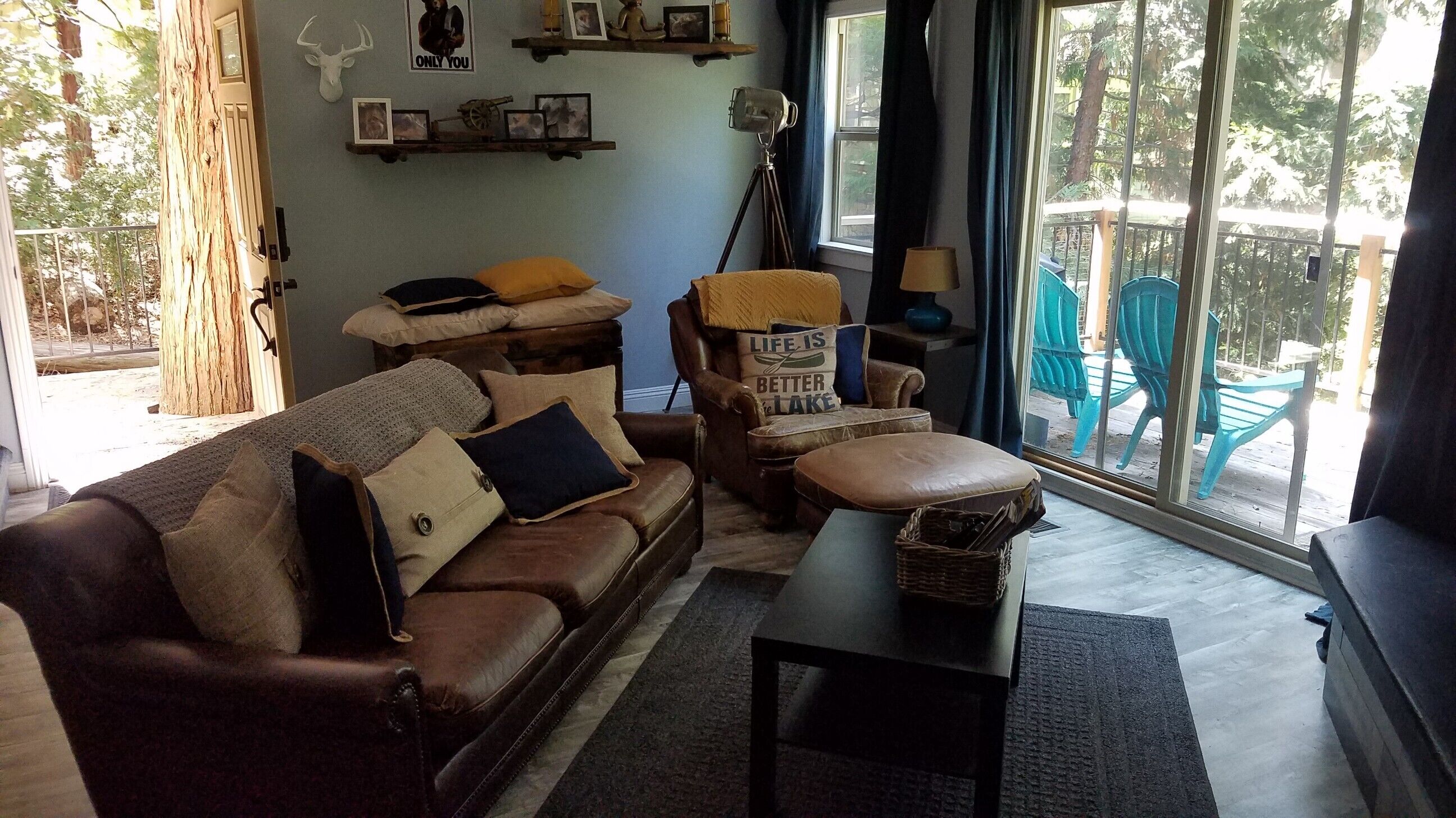Lazy dog cottage, dog friendly Cozy cottage nestled in the trees 
