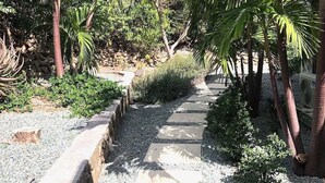 Un sendero bordeado de palmeras y una pared de piedra que atraviesa un jardín.
