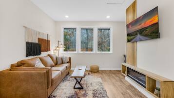 Smart TV, fireplace, books, video library