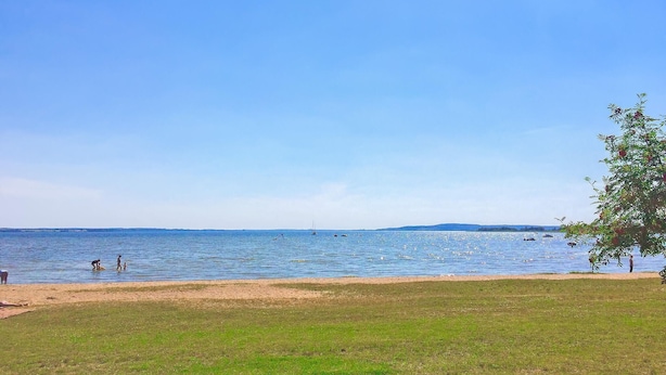 Une plage avec un ciel dégagé, une eau calme et une zone herbeuse.