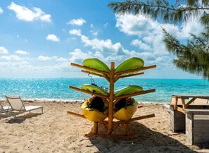 เบสิกอพาร์ทเมนท์ | วิวทะเล/มหาสมุทร