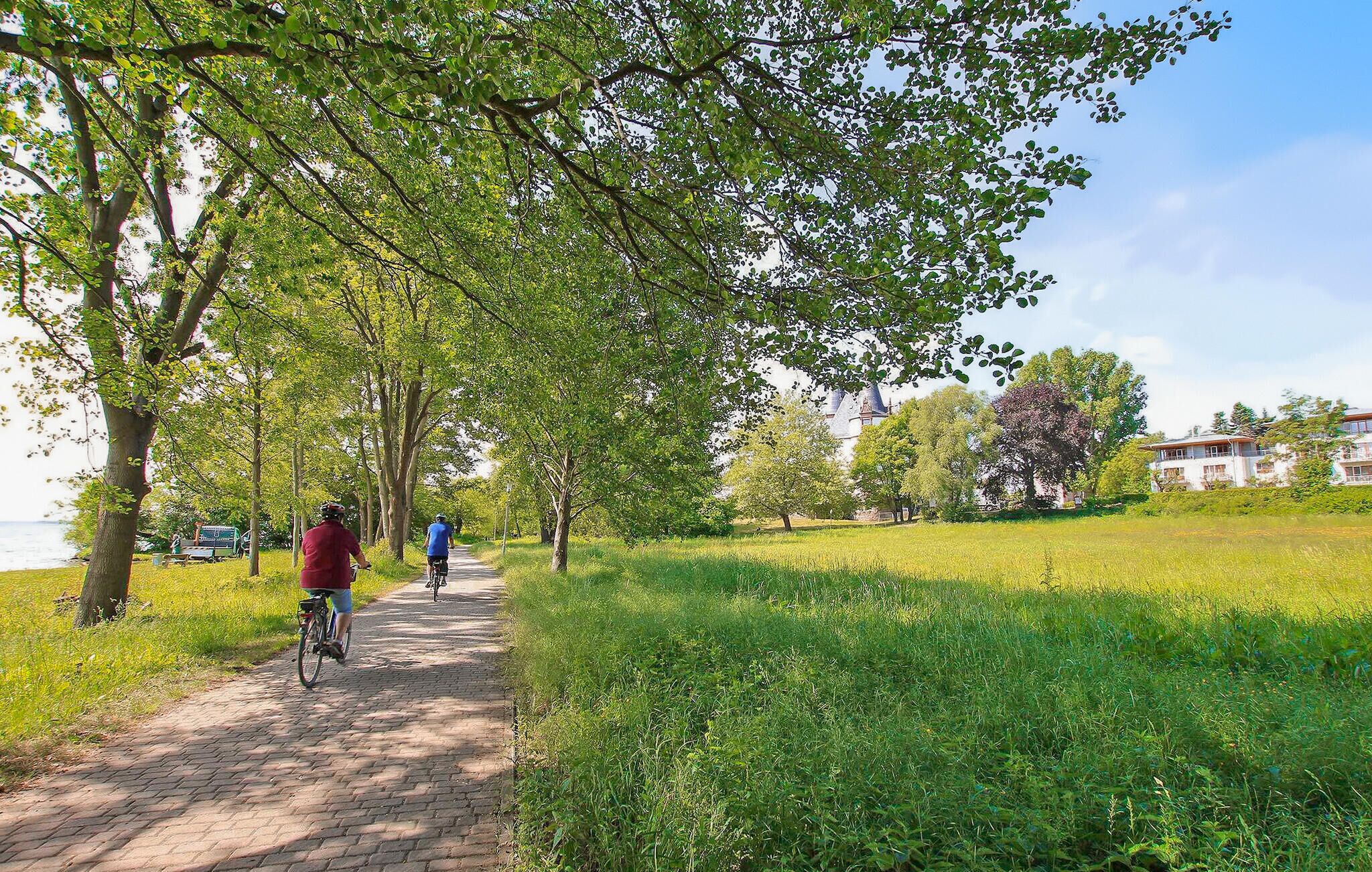 Un vialetto lastricato fiancheggiato da alberi che conduce a una zona verdeggiante, con un edificio sullo sfondo.