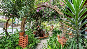 Un jardín con una estructura de ladrillo, una fuente de agua y diversas plantas.