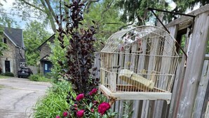 Una jaula de pájaros unida a una valla de madera, rodeada de frondosa vegetación y flores rojas vibrantes.