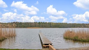 A wooden pier extending into a calm lake, surrounded by tall reeds and a forested shoreline. - Cozy apartment in Mirow with WiFi (Mirow)