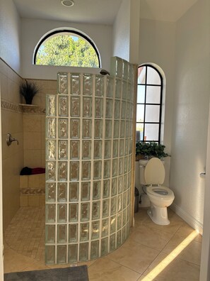 Shower, hair dryer, towels, soap - Spectacular beautiful lake & Mountainview Home with Pool & Jacuzzi (La Quinta)