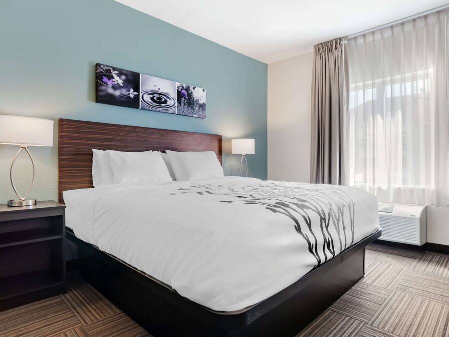 Een hotelkamer met een groot bed, twee nachtkastjes met lampen, een schilderij aan de muur en een raam met gordijnen.
