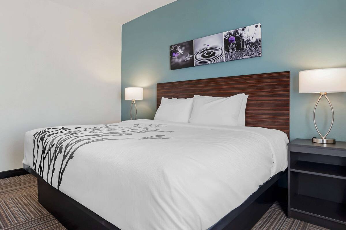 A neatly made bed with a white comforter and a decorative throw, a dark wooden headboard, and a wall-mounted artwork above it.
