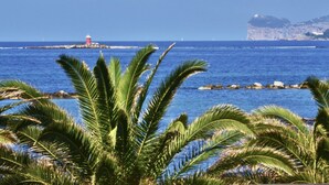 Un paysage côtier avec un phare, des affleurements rocheux et des palmiers.
