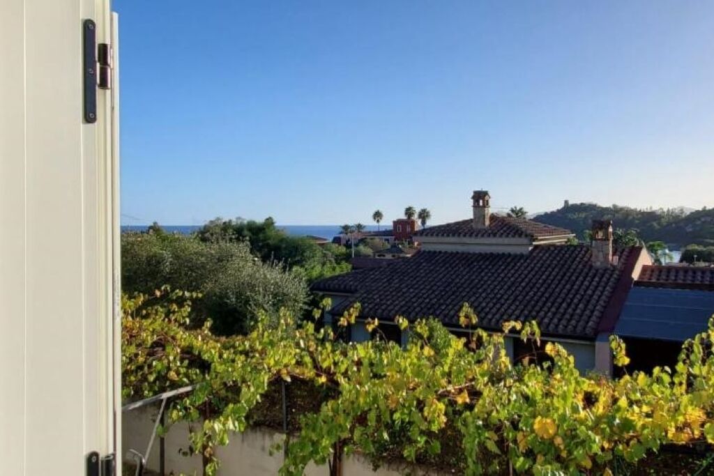 A vineyard with grapevines in the foreground, a building with a tiled roof, and a clear blue sky in the background.