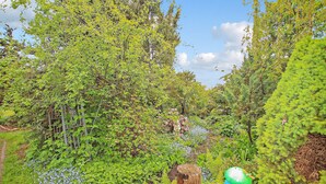 Fitta foresta con varietà di verdeggiante vegetazione e un palo di legno con una casetta per uccelli.