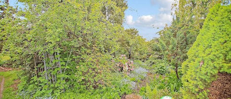 Overnatningsstedets område