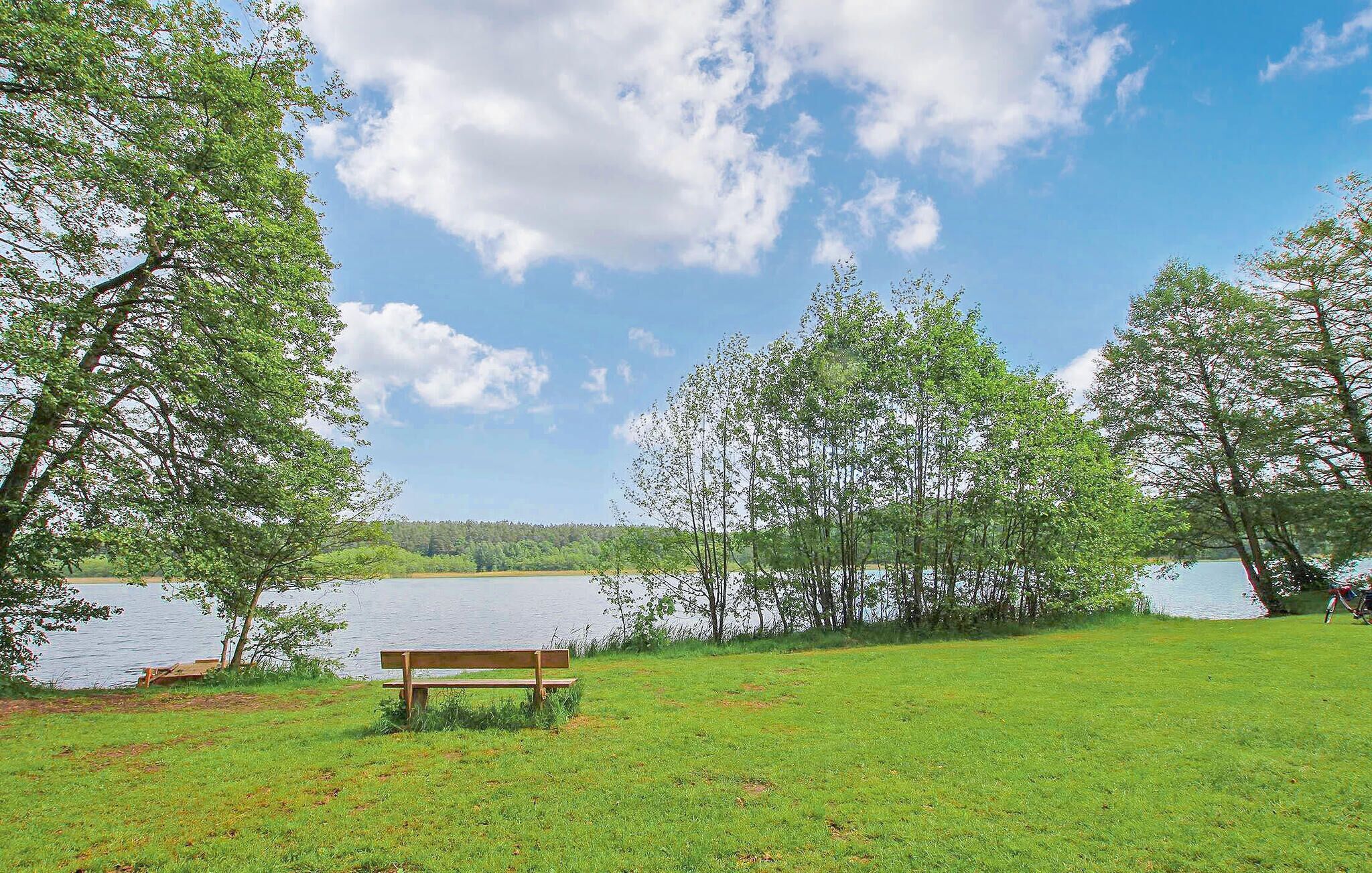 Un banc situé dans un espace verdoyant, avec des arbres et un lac en arrière-plan.