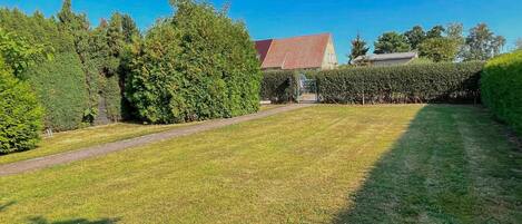 A well-maintained lawn with a paved path, surrounded by neatly trimmed hedges and trees, leading to a building with a red roof.
