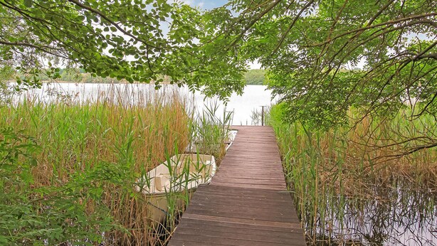 Ein hölzerner Steg führt zu einem Gewässer, umgeben von dichter Vegetation.