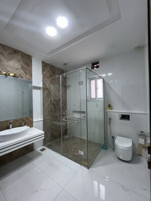 Bidet, towels, soap, toilet paper