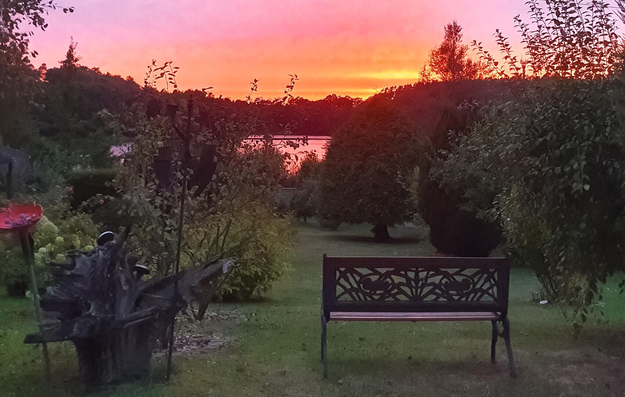 Un banco en un jardín con un atardecer de fondo.
