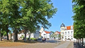 Parkeerplaatsen op het terrein