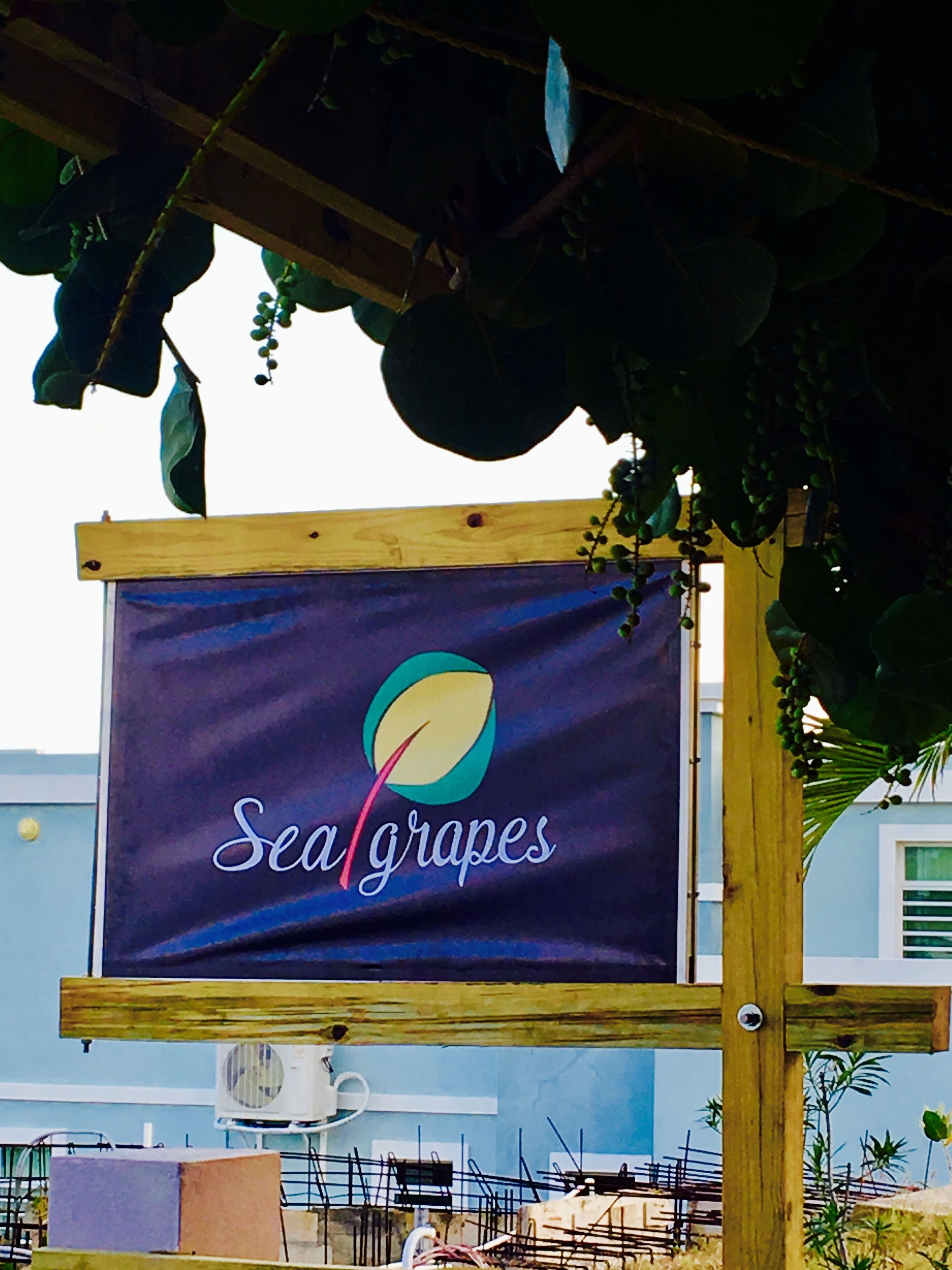 Ein hölzernes Schild mit dem Schriftzug „Sea grapes“ und einem Logo, das unter einer Struktur mit Pflanzen hängt.