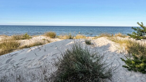 A coastal landscape with sand dunes and sparse vegetation.