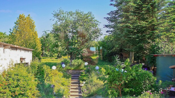 Un jardin avec un escalier en pierre menant à une structure en bois.