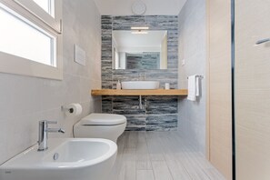 Shower, hair dryer, bidet, towels