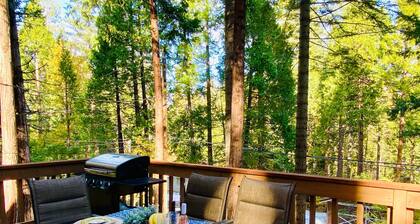Lilac Cabin Family-Friendly with Highspeed Wi-Fi Close to Downtown Arnold