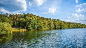 A calm lake surrounded by dense forest and a clear sky. - Ferienwohnung Rheinsberg (Rheinsberg OT Kagar)