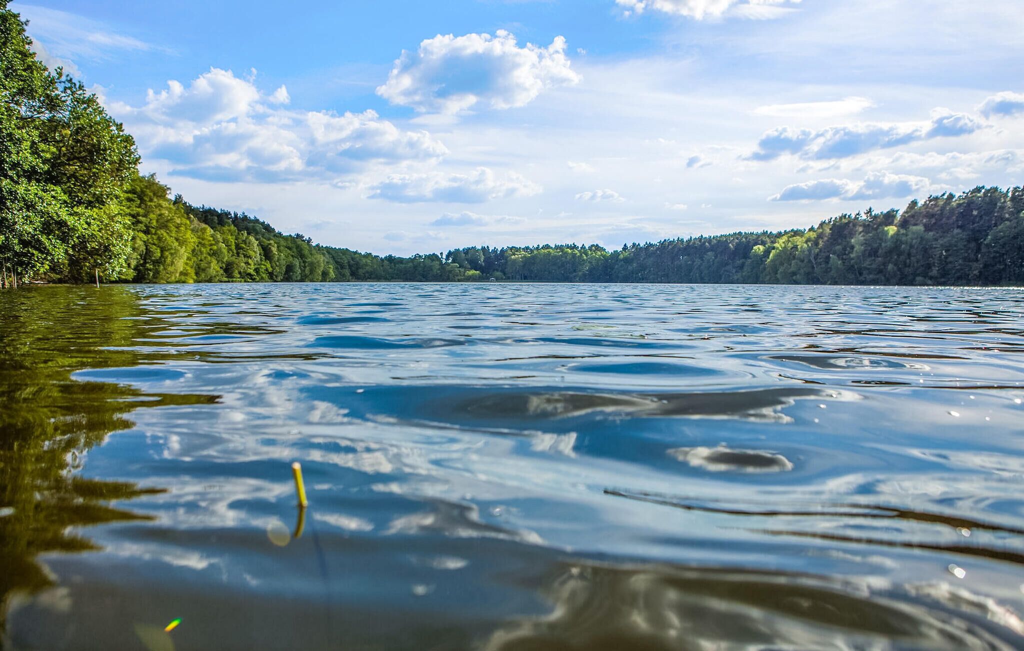 Um lago calmo com margens arborizadas e céu claro.