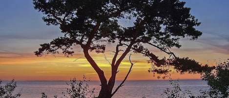 Una spiaggia nelle vicinanze