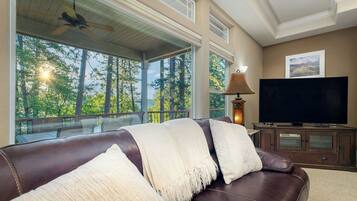 TV connectée, cheminée, lecteur de DVD, imprimantes