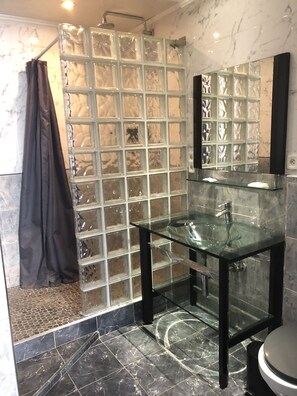 Shower, hair dryer, bidet, towels