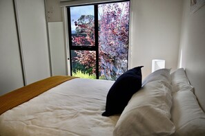 2 bedrooms, desk, iron/ironing board, travel cot