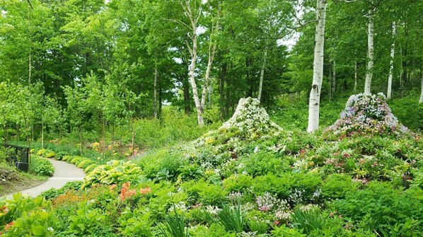 Terrein van de accommodatie