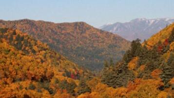 1 bedroom, desk, free WiFi, bed sheets