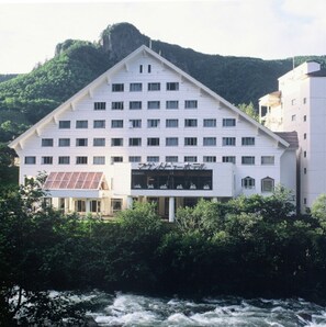 Ulkopuoli
